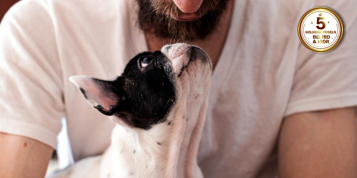 vertrauen zwischen hund und mensch